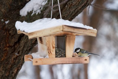 Tipp: Der Traum vom Wintergarten