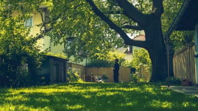 Grenzbepflanzung: Was erlaubt ist – und was Ärger vermeidet